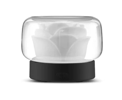 Ultrasonic Air Humidifier LED Lamp - Kim’s Signature Beauty & Accessories (Store description)