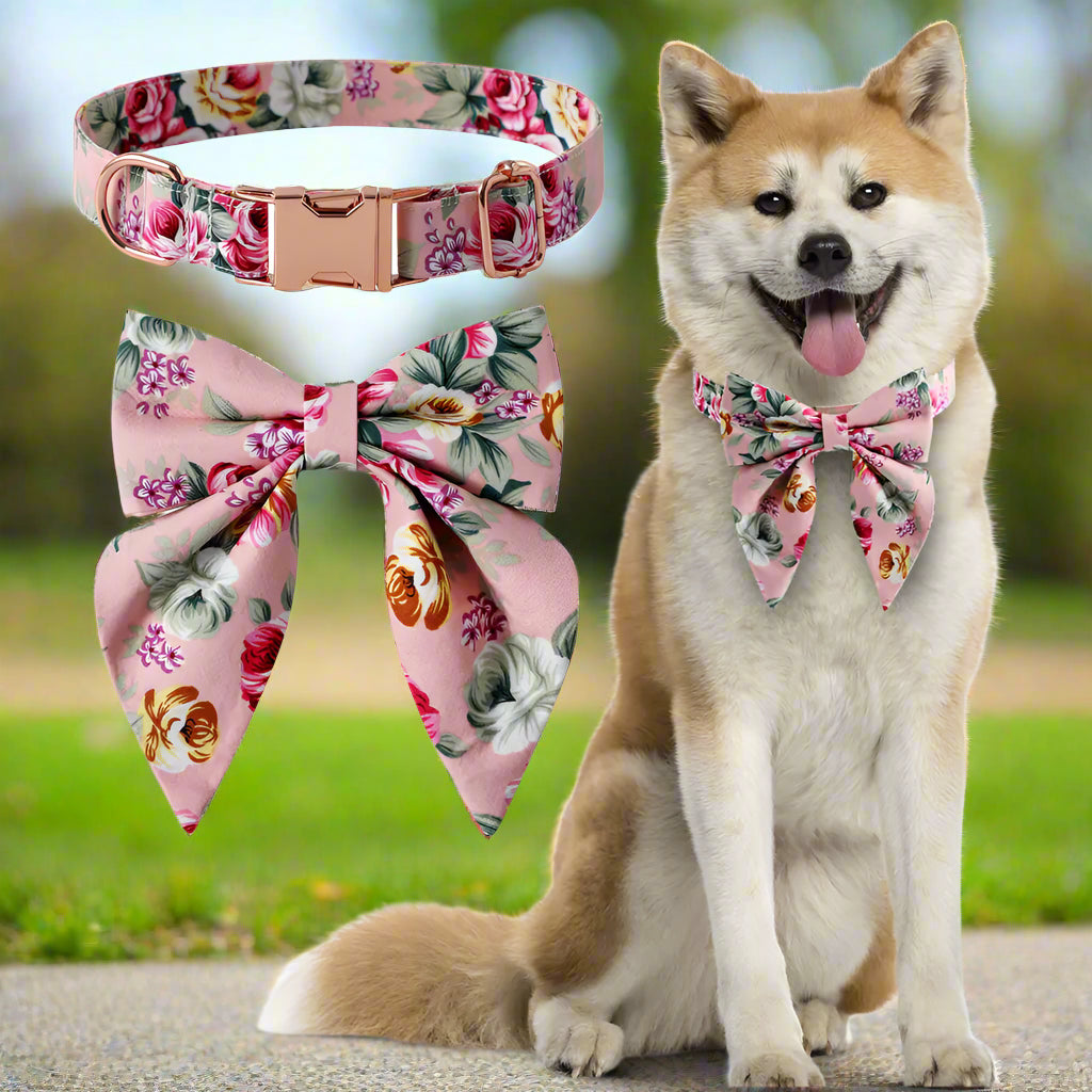 Cotton Dog Collar with Rose Gold Buckle – Soft, Stylish & Adjustable - Kim’s Signature Beauty & Accessories
