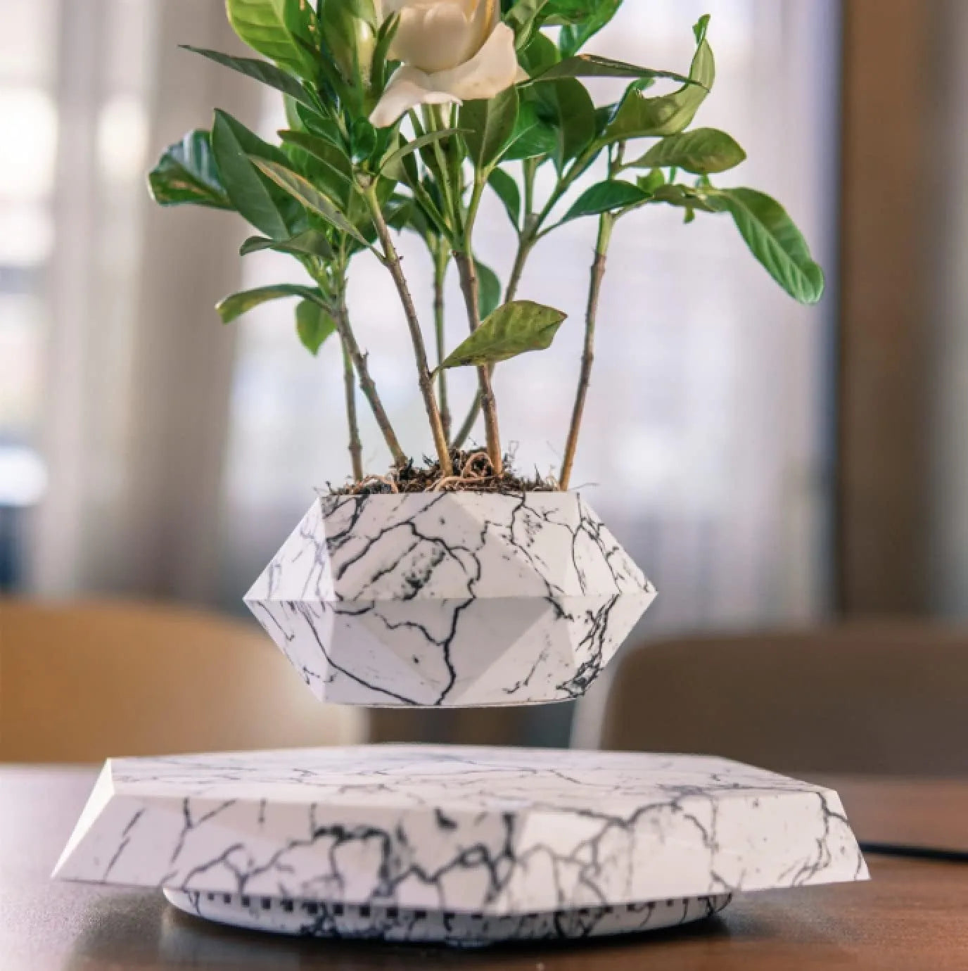 LeviFlora Floating Plant Pot - Kim’s Signature Beauty & Accessories (Store description)