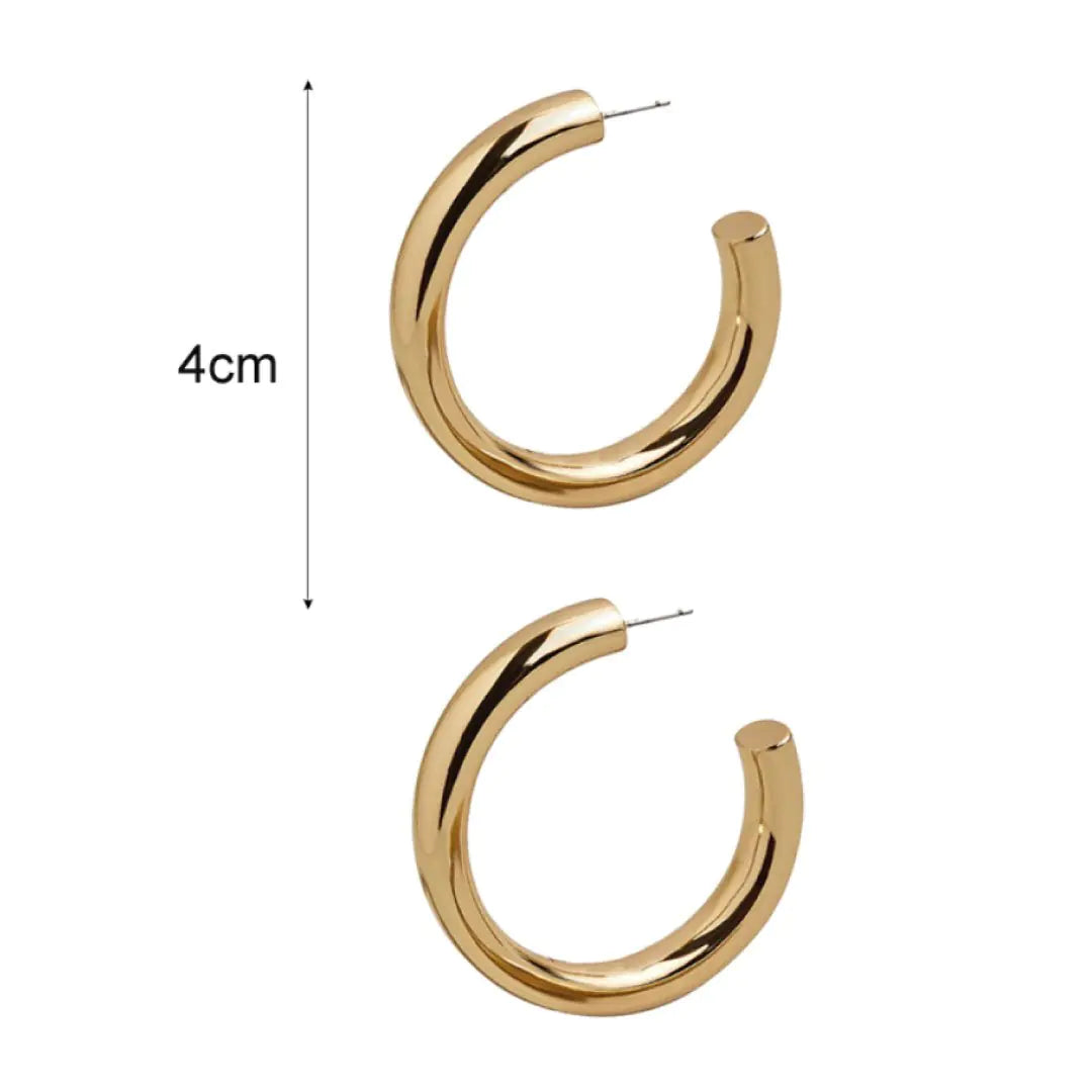 Scarlett Hoop Earrings Gold or Silver - Kim’s Signature Beauty & Accessories