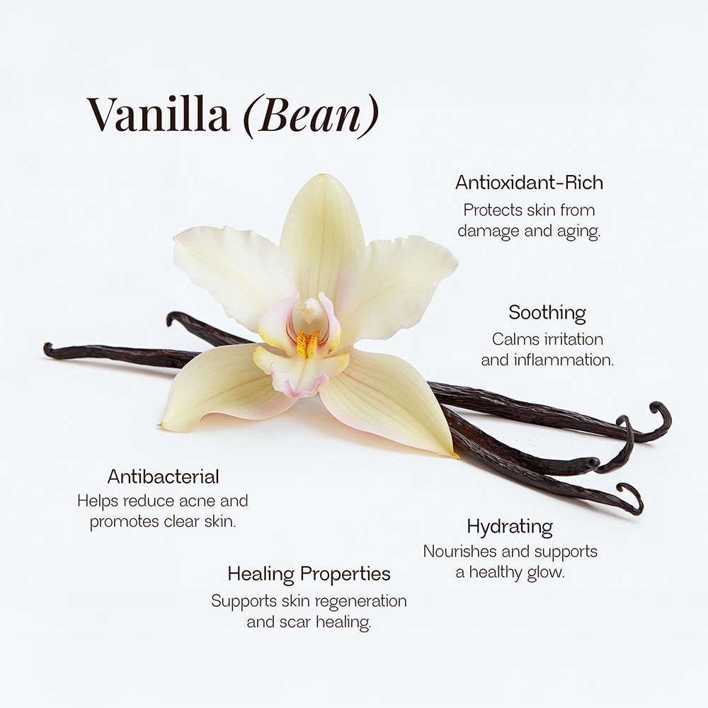 Whipped Grass-Fed Tallow Balm with Vanilla Bean - Kim’s Signature Beauty & Accessories