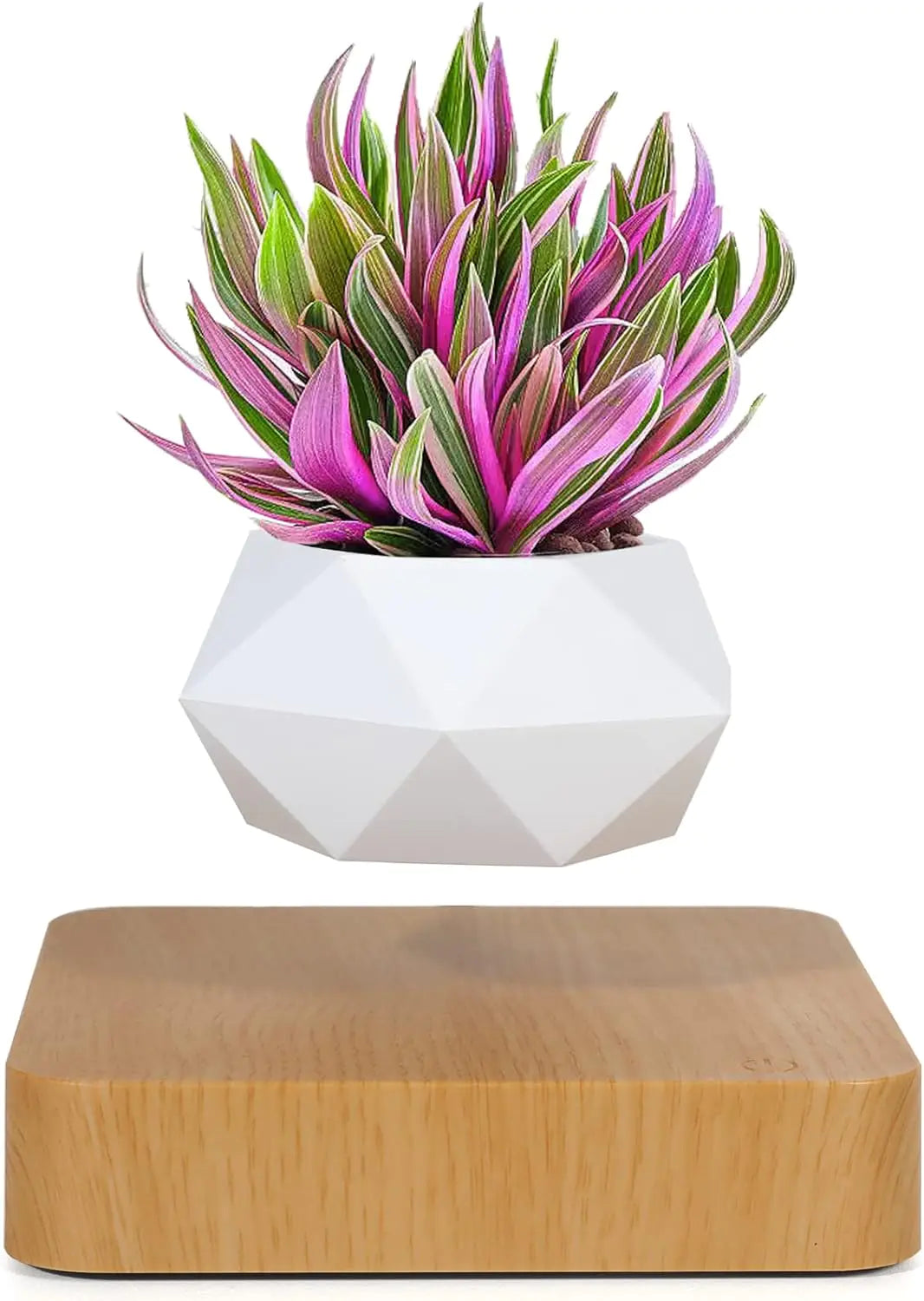 LeviFlora Floating Plant Pot - Kim’s Signature Beauty & Accessories (Store description)