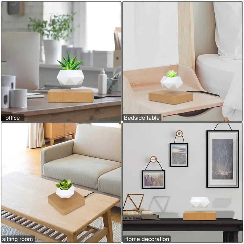 Indoor Plants & Pots