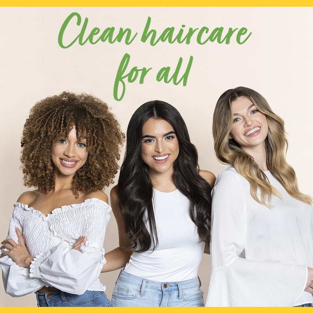 CHI ShineCare Smoothing Shampoo 12 Oz - Kim’s Signature Beauty & Accessories    (Store description)
