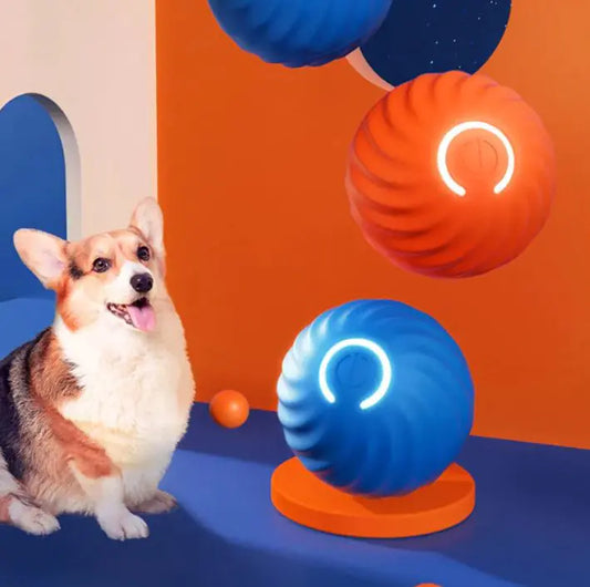 Pet Dog Rubber Ball Toys For Dogs - Kim’s Signature Beauty & Accessories    