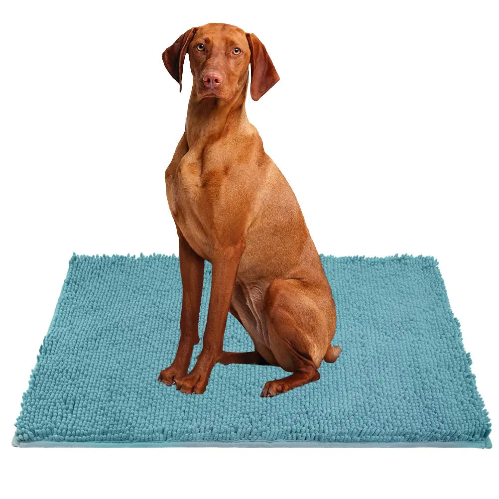 Absorbent Dog Door Mat - Kim’s Signature Beauty & Accessories    
