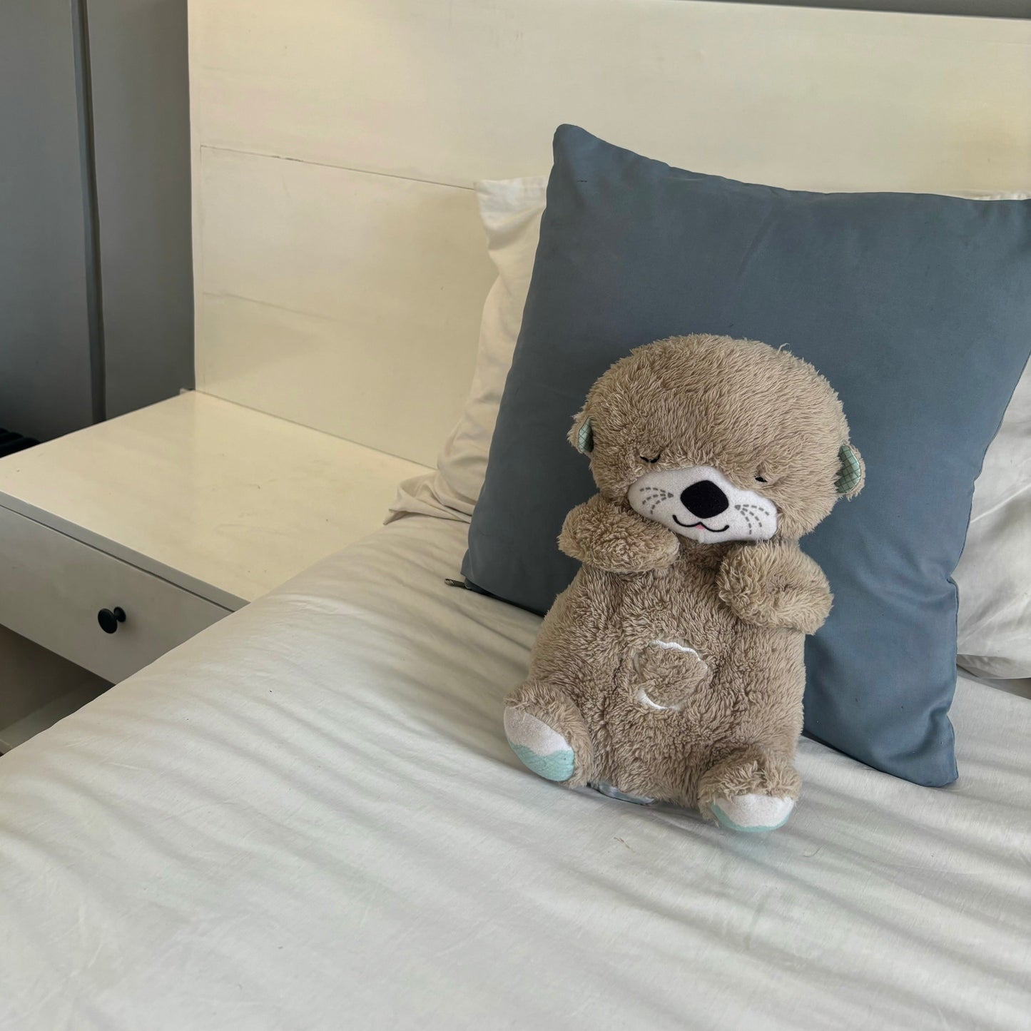 Baby's Breathing Buddy - Kim’s Signature Beauty & Accessories    