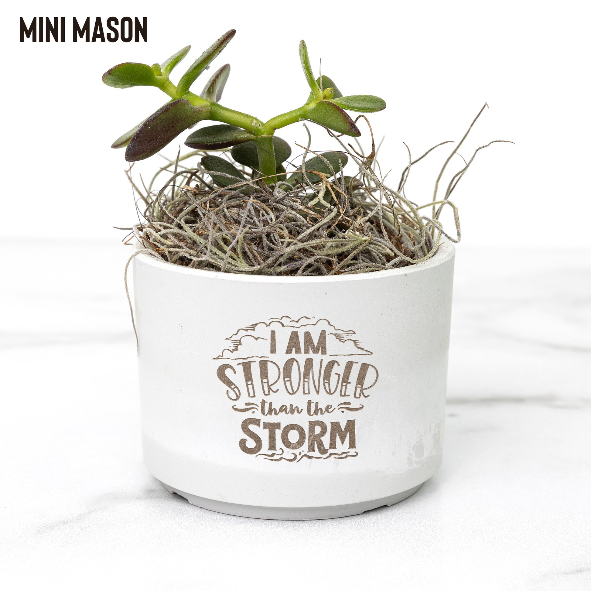 Be Stronger than the Storm Desk Plant - Kim’s Signature Beauty & Accessories    (Store description)