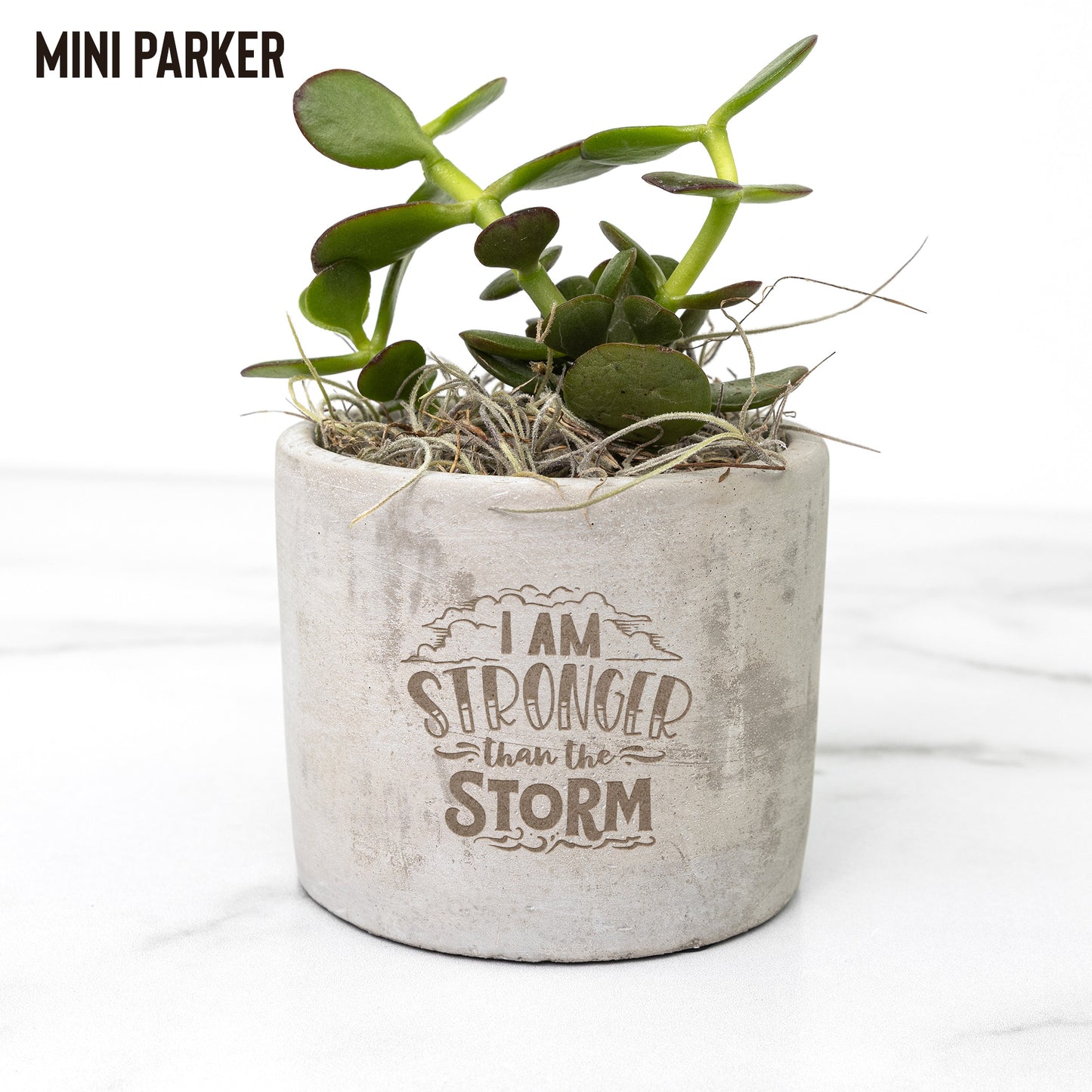 Be Stronger than the Storm Desk Plant - Kim’s Signature Beauty & Accessories    (Store description)
