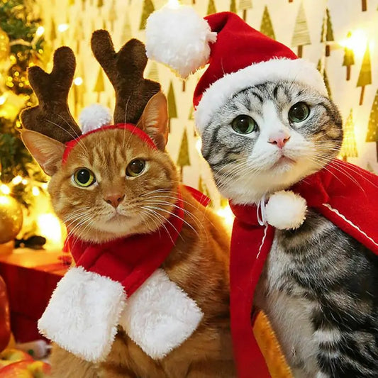 Pet Christmas Clothes - Kim’s Signature Beauty & Accessories    (Store description)