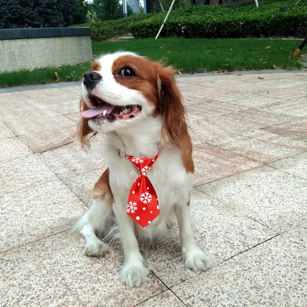 Christmas Dog Necktie - Kim’s Signature Beauty & Accessories    