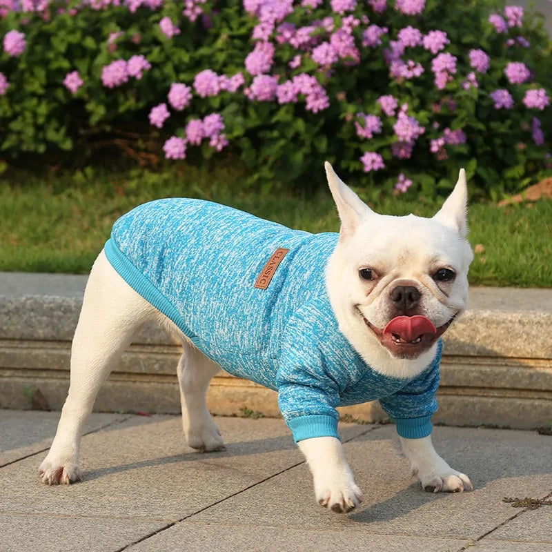 Classic Warm Dog Sweater - Kim’s Signature Beauty & Accessories    