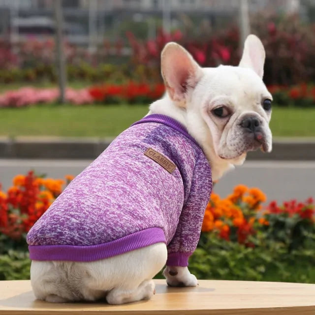 Classic Warm Dog Sweater - Kim’s Signature Beauty & Accessories    