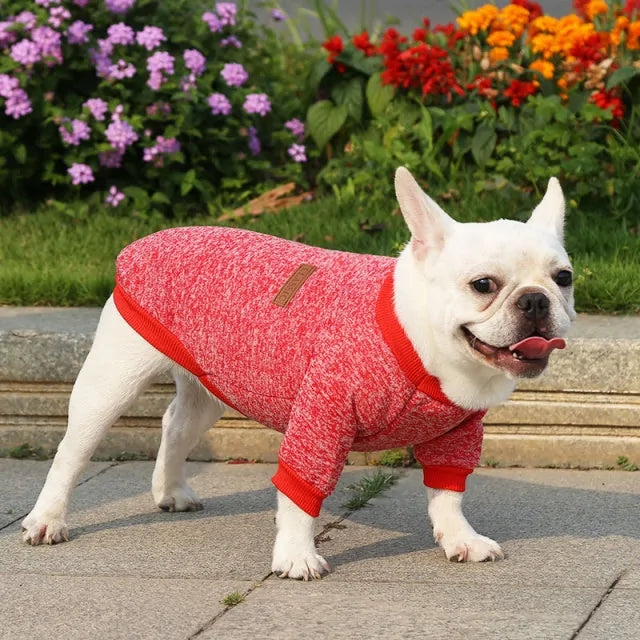 Classic Warm Dog Sweater - Kim’s Signature Beauty & Accessories    