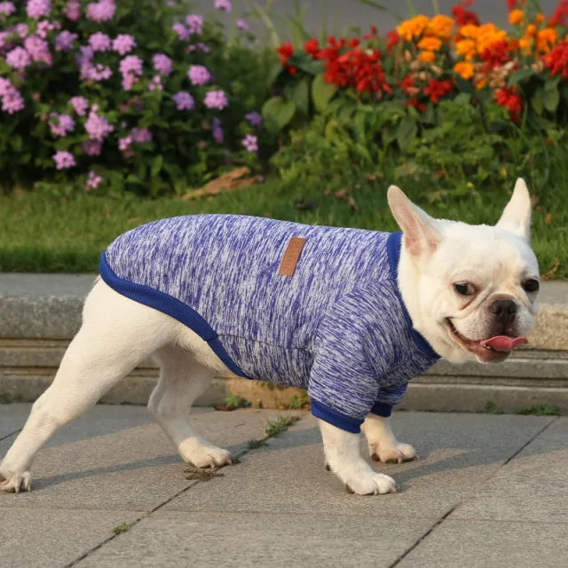 Classic Warm Dog Sweater - Kim’s Signature Beauty & Accessories    
