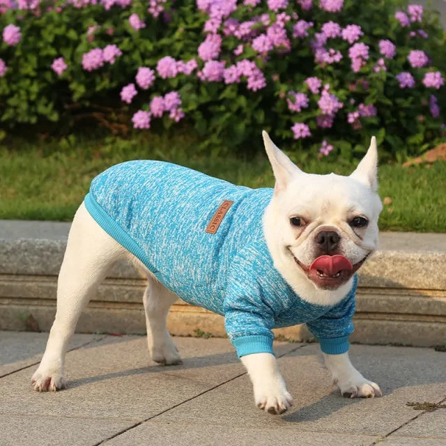 Classic Warm Dog Sweater - Kim’s Signature Beauty & Accessories    