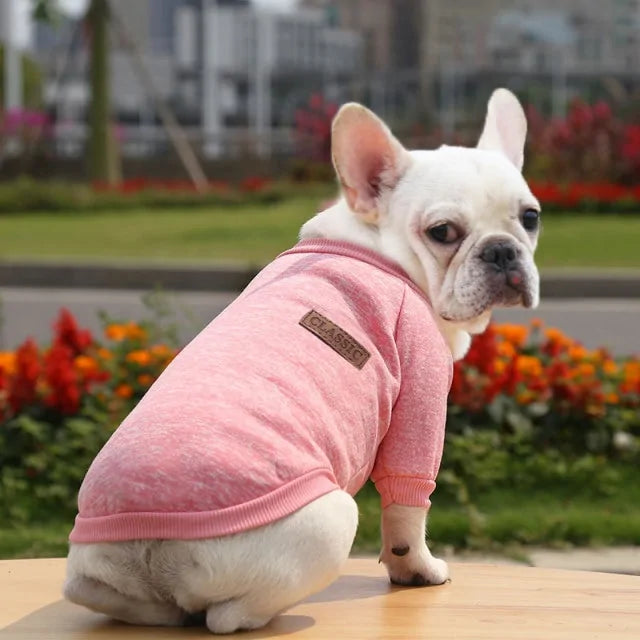 Classic Warm Dog Sweater - Kim’s Signature Beauty & Accessories    