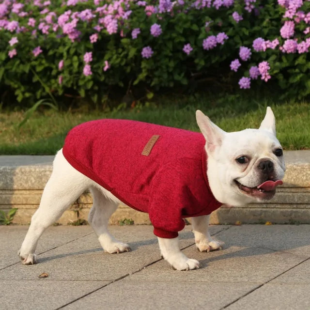 Classic Warm Dog Sweater - Kim’s Signature Beauty & Accessories    