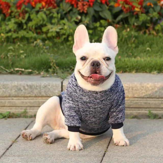 Classic Warm Dog Sweater - Kim’s Signature Beauty & Accessories    