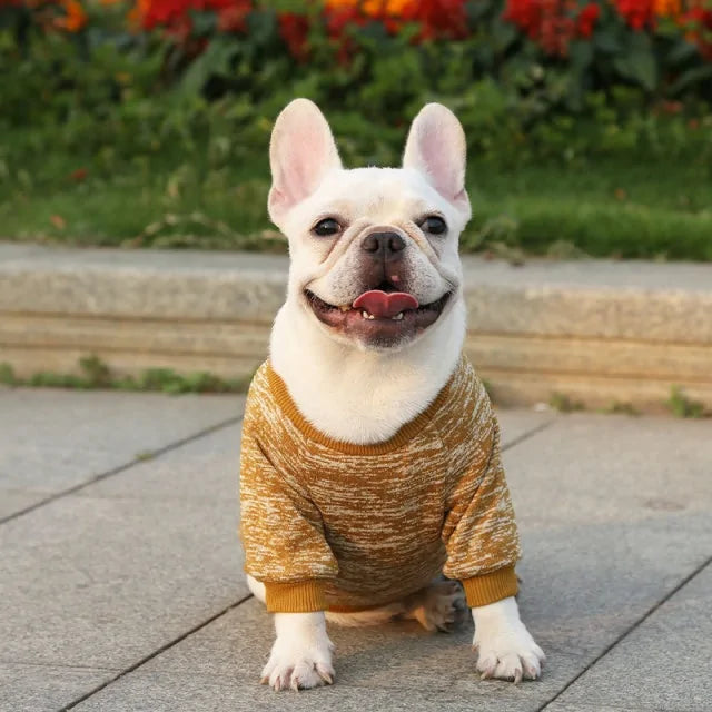 Classic Warm Dog Sweater - Kim’s Signature Beauty & Accessories    