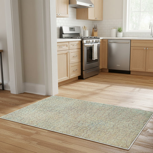 Cracked soft colorful Vintage Rug - Kim’s Signature Beauty & Accessories