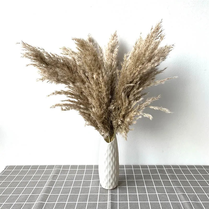 Dried Pampas Grass Home Decor Plant - Kim’s Signature Beauty & Accessories    