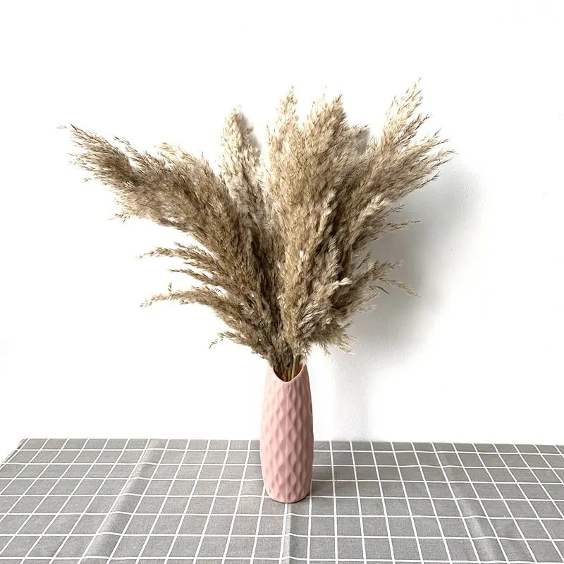 Dried Pampas Grass Home Decor Plant - Kim’s Signature Beauty & Accessories    