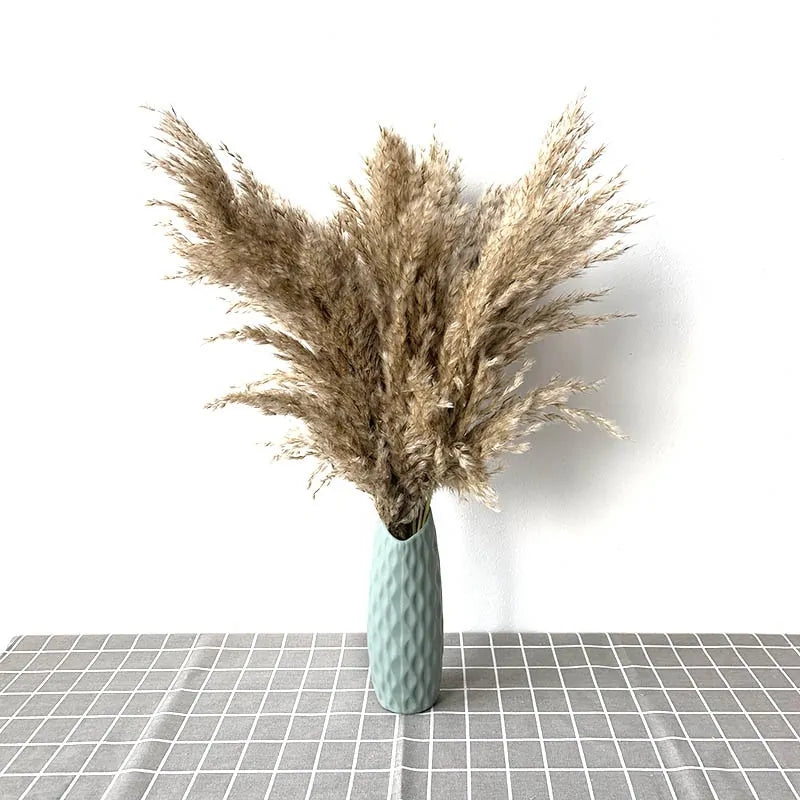 Dried Pampas Grass Home Decor Plant - Kim’s Signature Beauty & Accessories    