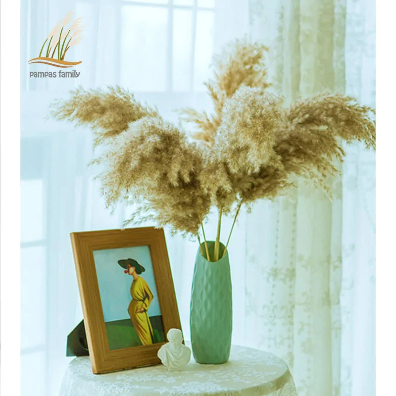 Dried Pampas Grass Home Decor Plant - Kim’s Signature Beauty & Accessories    