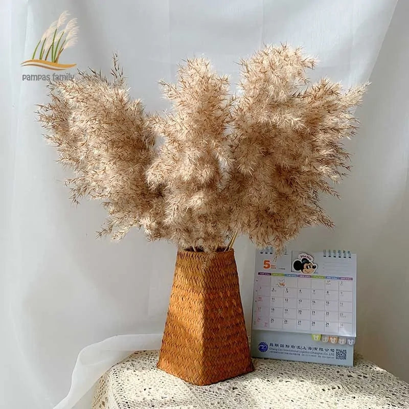Dried Pampas Grass Home Decor Plant - Kim’s Signature Beauty & Accessories    