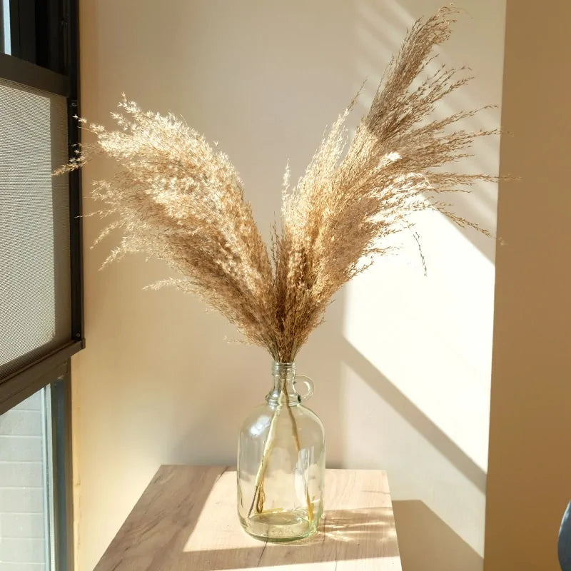 Dried Pampas Grass Home Decor Plant - Kim’s Signature Beauty & Accessories    