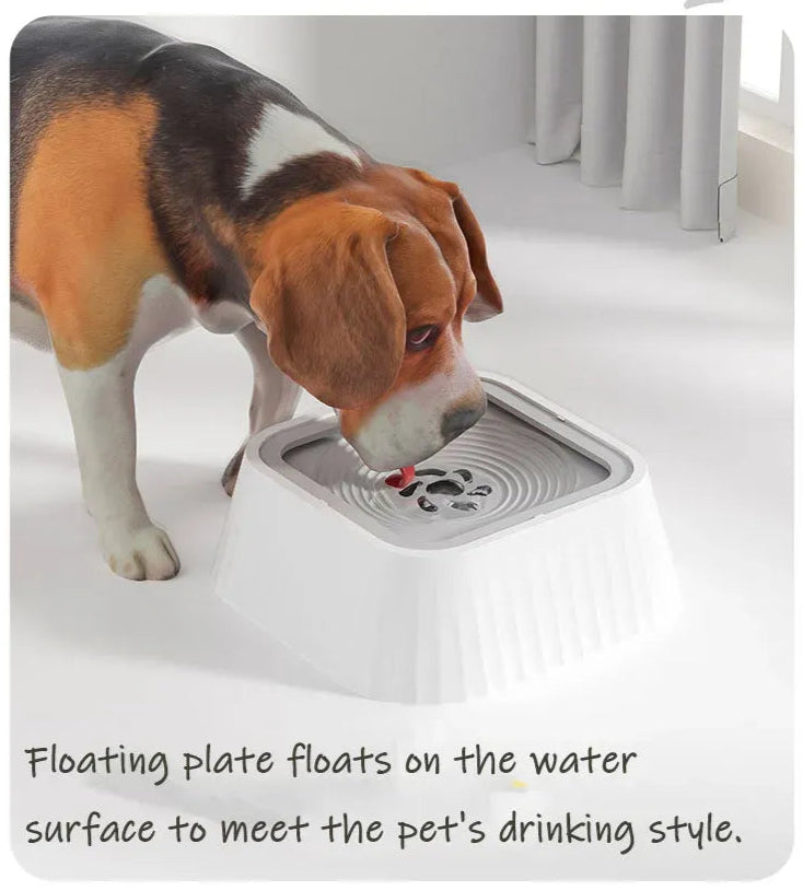 Floating Pet Water Bowl - Kim’s Signature Beauty & Accessories    