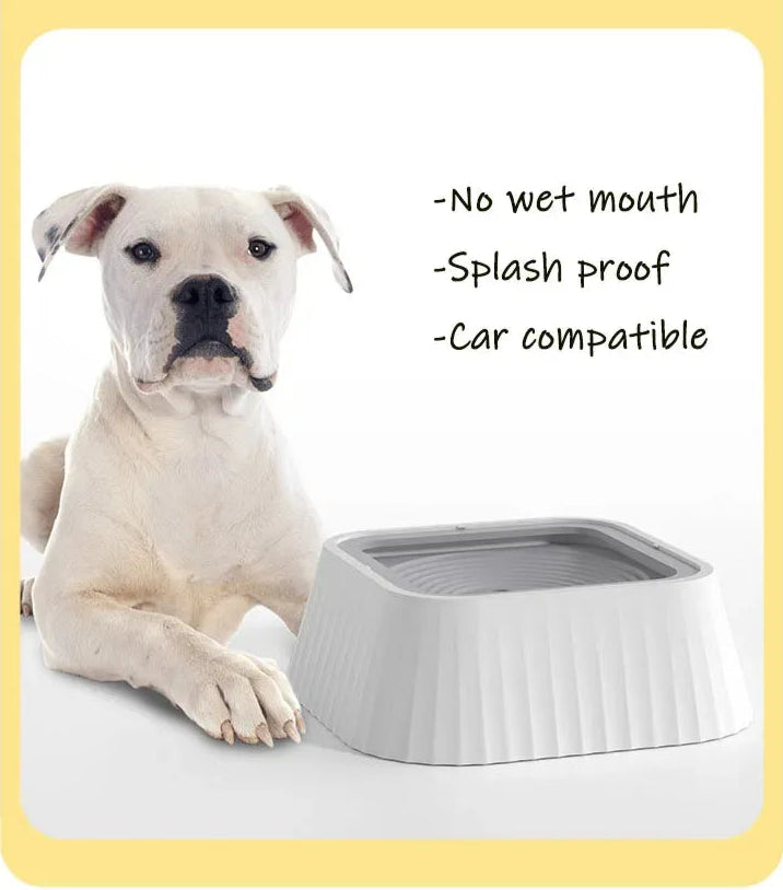 Floating Pet Water Bowl - Kim’s Signature Beauty & Accessories    
