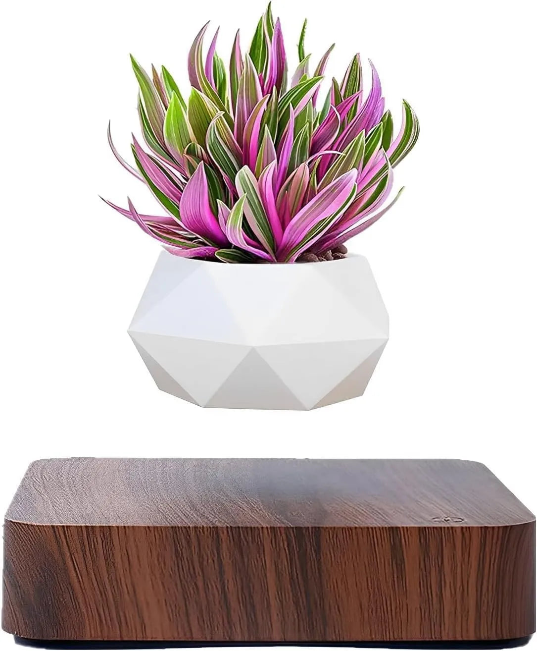 LeviFlora Floating Plant Pot - Kim’s Signature Beauty & Accessories    (Store description)