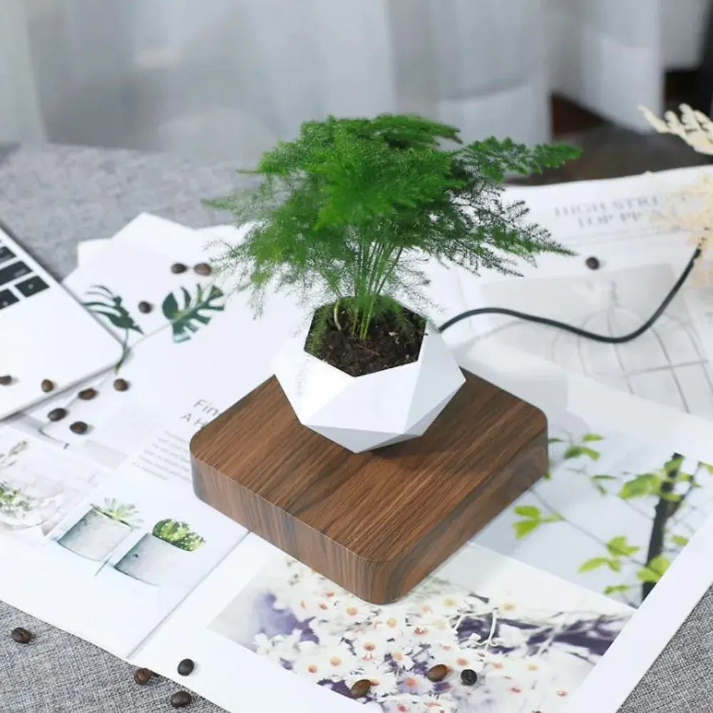 Gravity-Defying Magnetic Bonsai Pot - Kim’s Signature Beauty & Accessories    