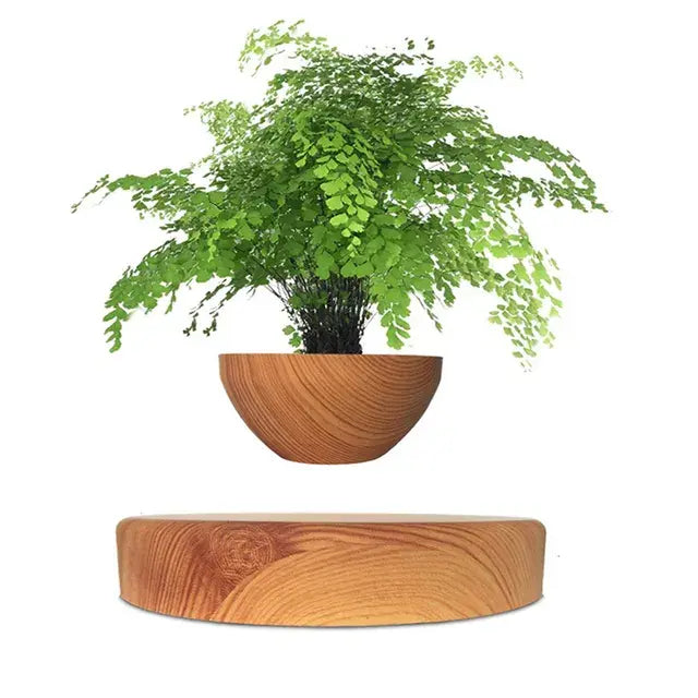 Gravity-Defying Magnetic Bonsai Pot - Kim’s Signature Beauty & Accessories    