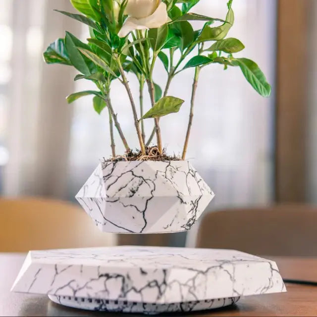 gravity plant pot Gravity-Defying Magnetic Bonsai Pot