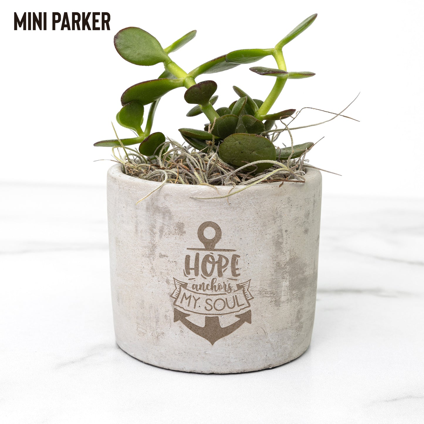 Hope Anchors My Soul Desk Plant - Kim’s Signature Beauty & Accessories    