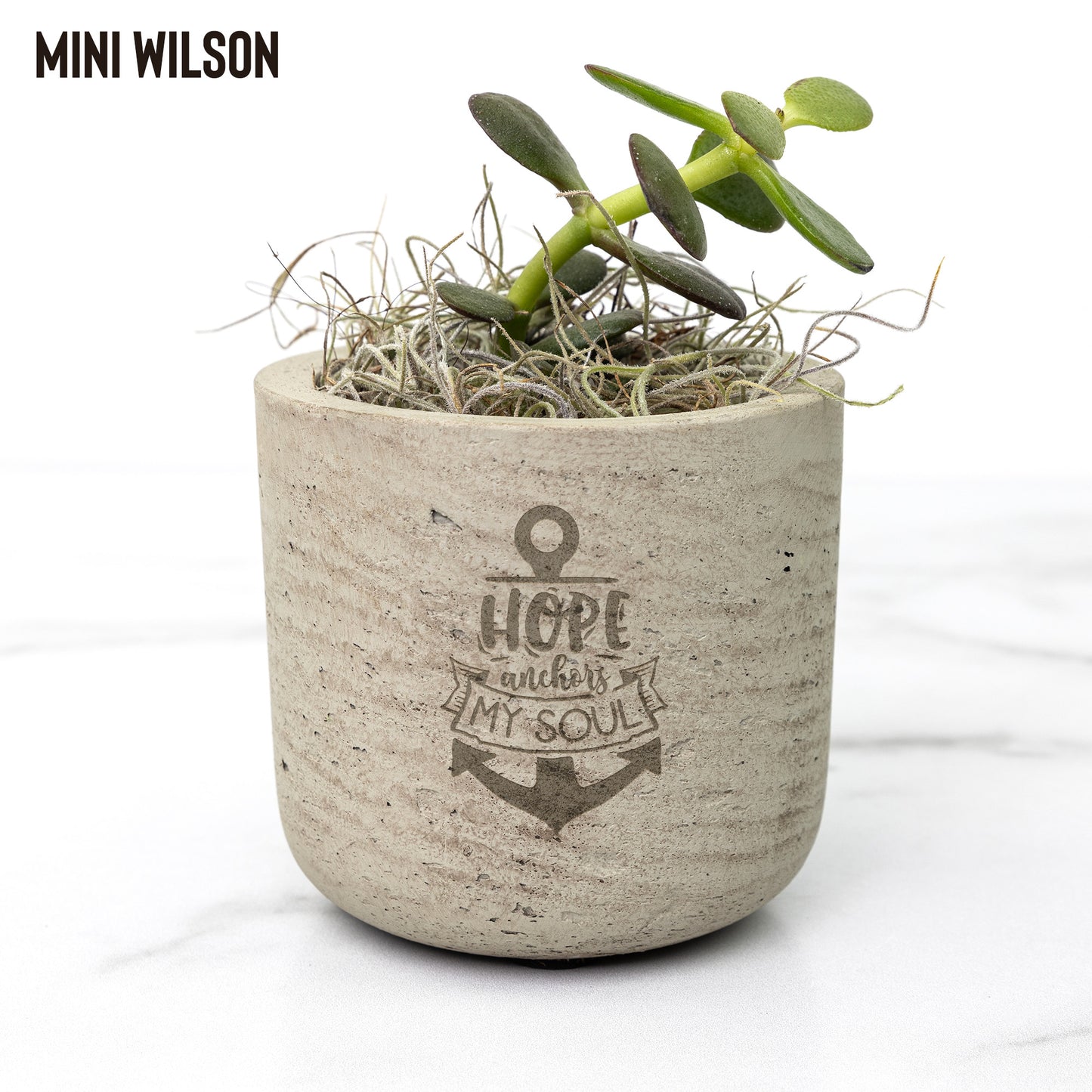 Hope Anchors My Soul Desk Plant - Kim’s Signature Beauty & Accessories    