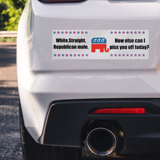 How else can I piss you off? | Bumper Sticker - Kim’s Signature Beauty & Accessories    