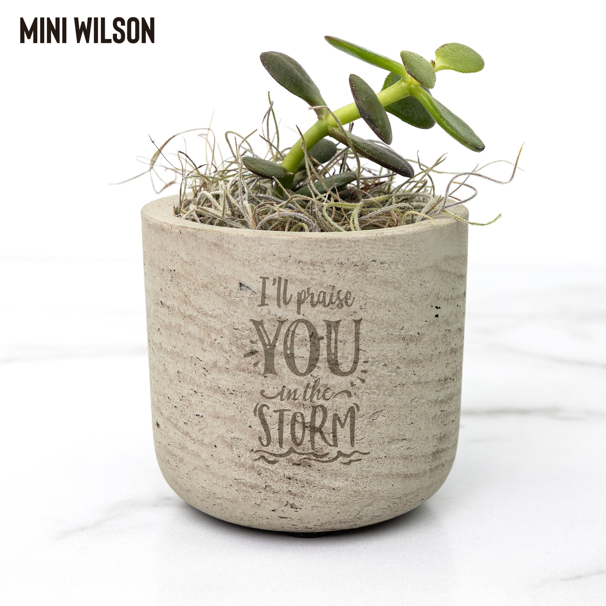 I'll Praise you In the Storm Desk Plant - Kim’s Signature Beauty & Accessories    (Store description)