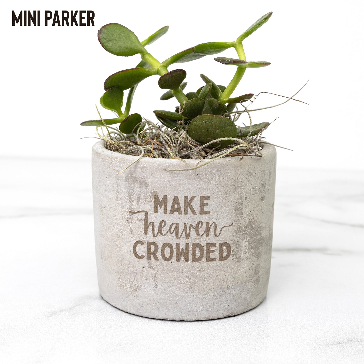 Make Heaven Crowded Desk Plant - Kim’s Signature Beauty & Accessories    