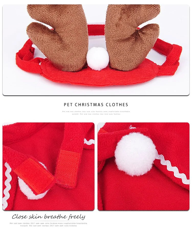 Pet Christmas Clothes - Kim’s Signature Beauty & Accessories    