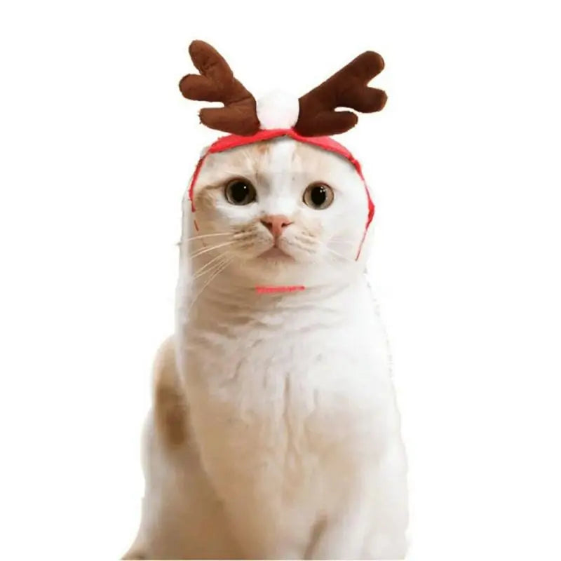 Pet Christmas Clothes - Kim’s Signature Beauty & Accessories    
