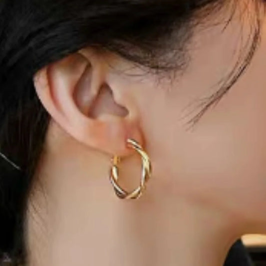 Turn Hoop Earrings-Gold or Silver - Kim’s Signature Beauty & Accessories    