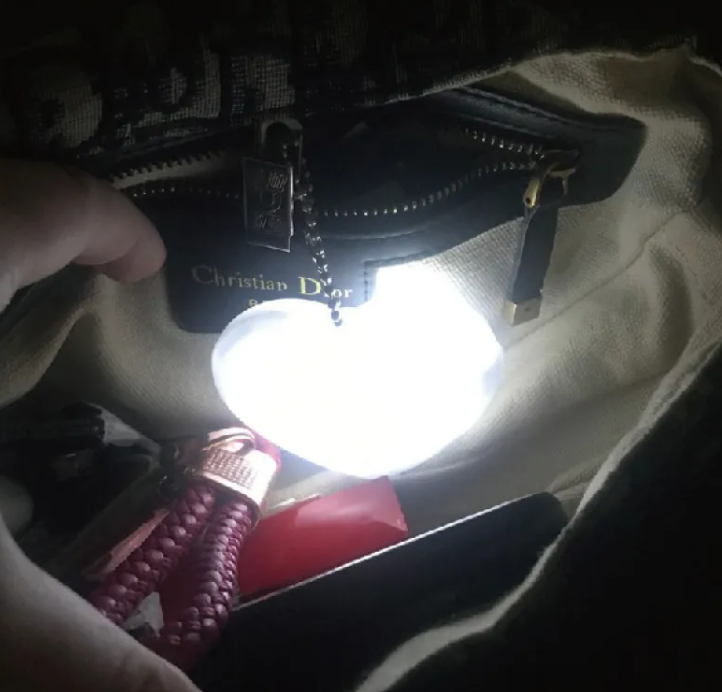 Hand holding a flashlight inside a bag with visible brand name