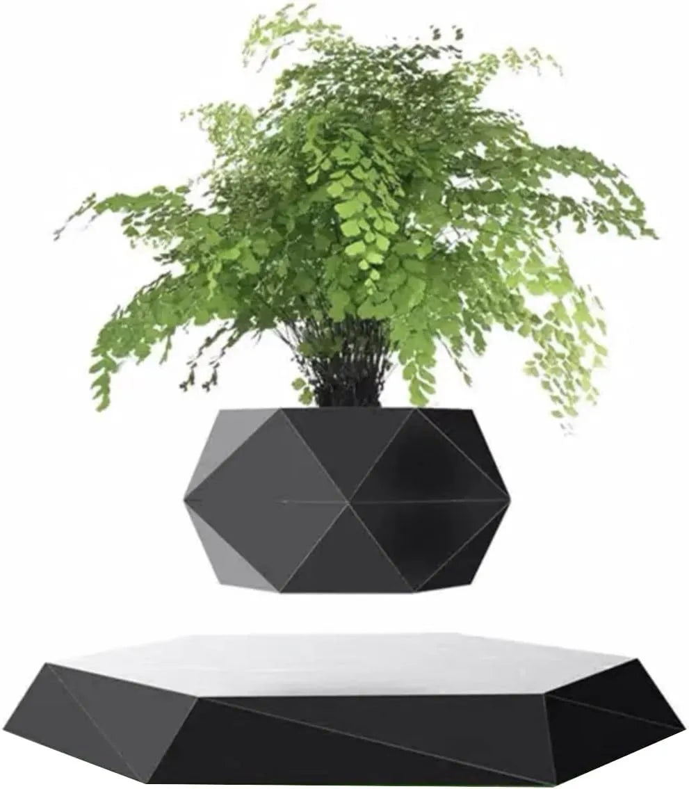 LeviFlora Floating Plant Pot - Kim’s Signature Beauty & Accessories    (Store description)