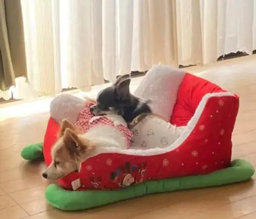 Cozy Christmas Sleigh Pet Bed - Kim’s Signature Beauty & Accessories    (Store description)